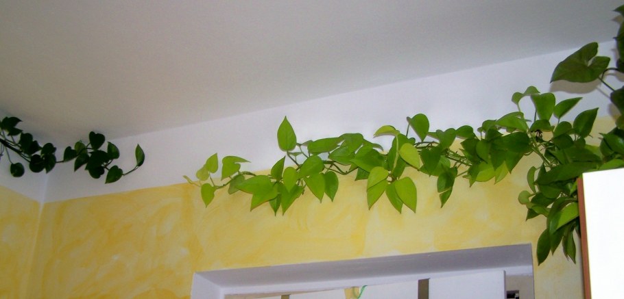 Украшение искусственными цветами