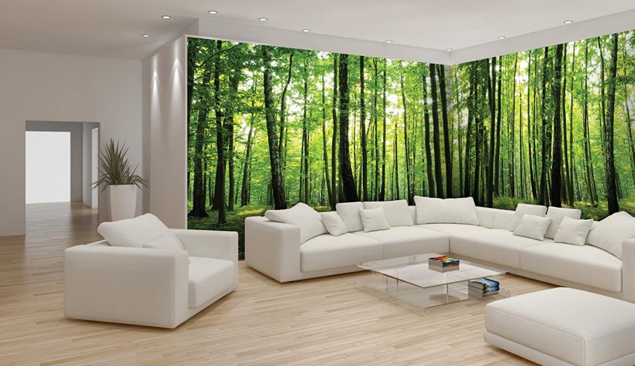 Панорамные картины для интерьера