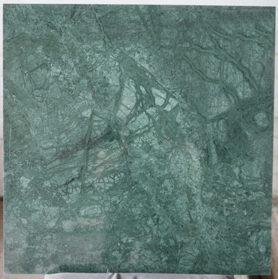 Ракушка мозаика сичис