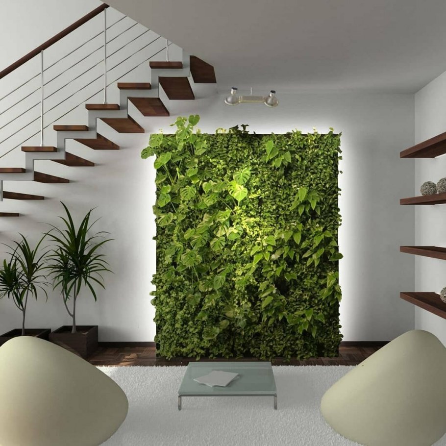 Фитомодули БОКССАНД