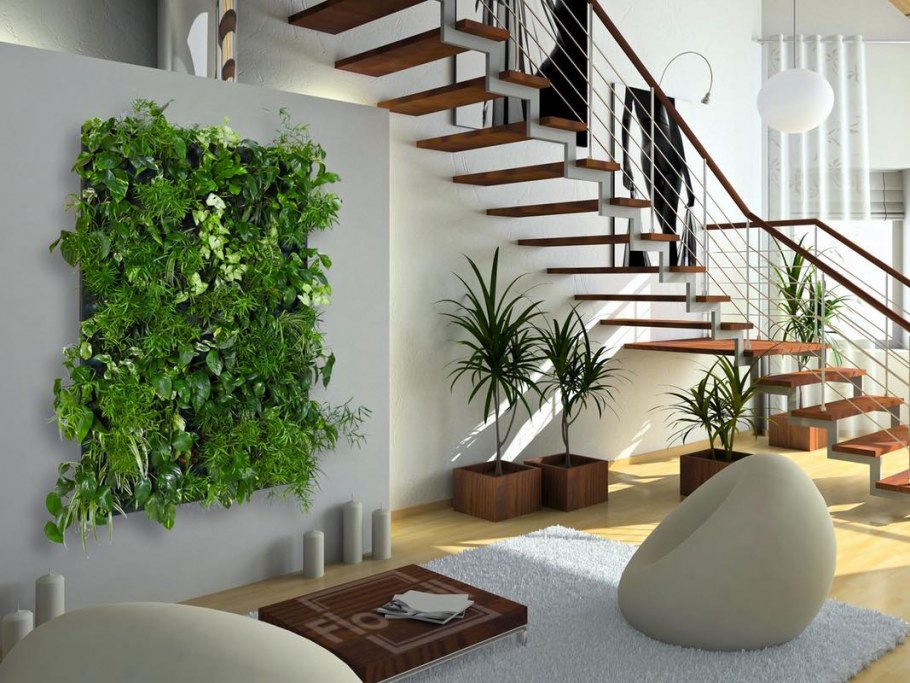 Хлорофитум вертикальное Озеленение