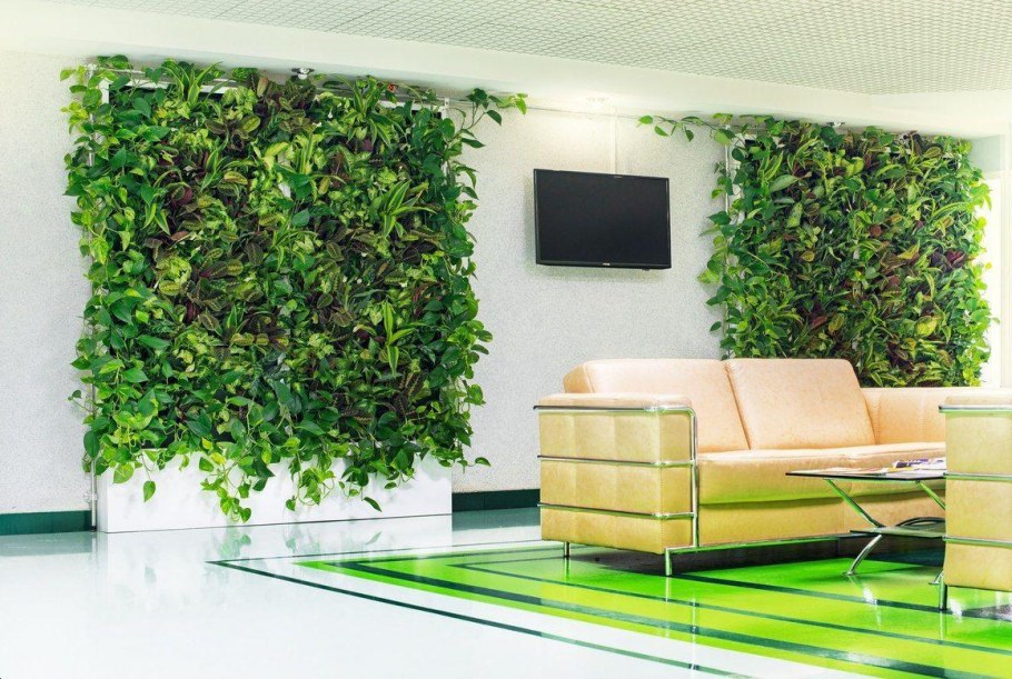 Растения на стене