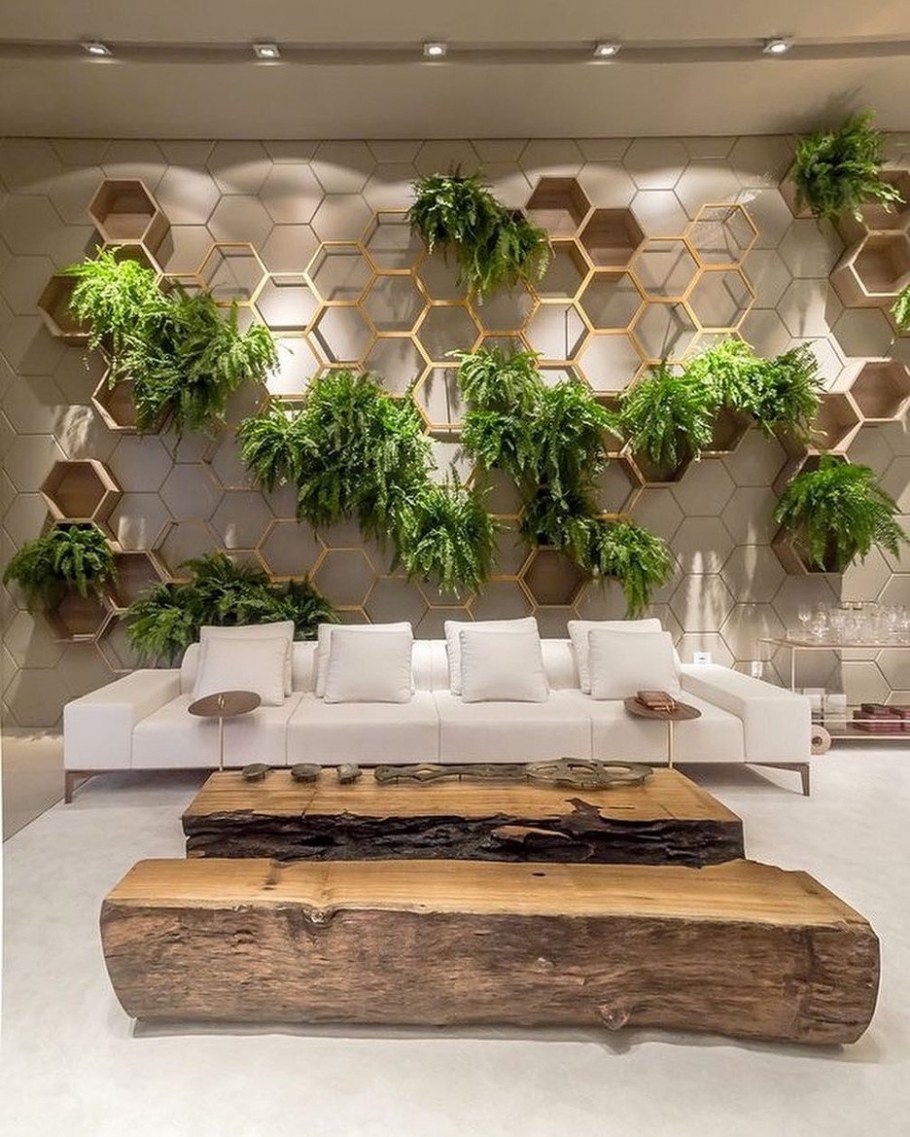 Традесканция фитостена