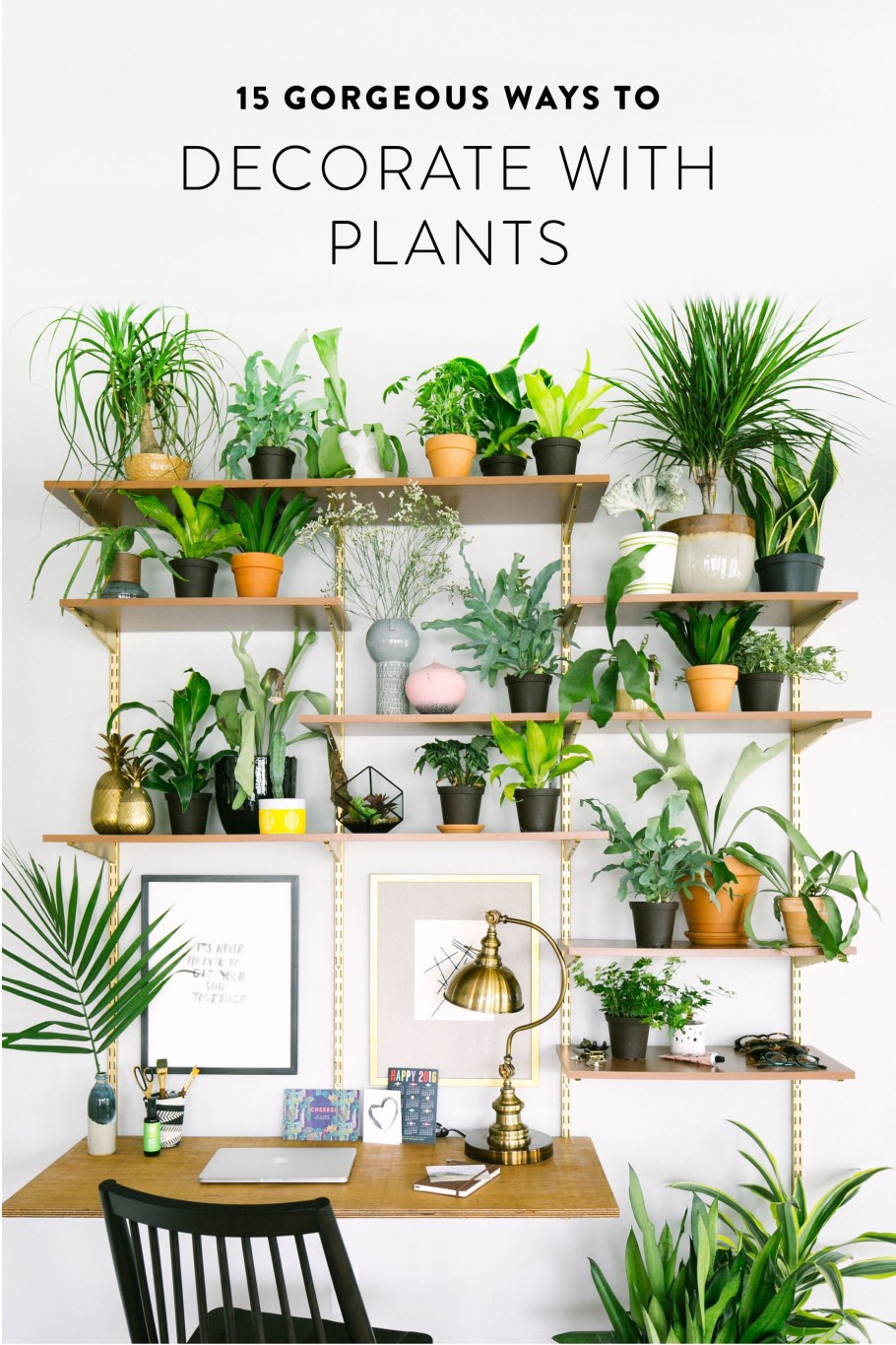 Необычные полки для цветов