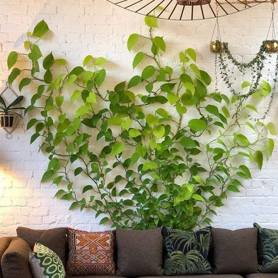 Декор стены растениями