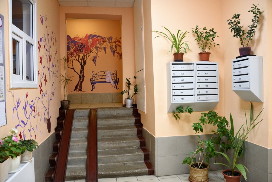 Красивые подъезды многоквартирных домов с цветами