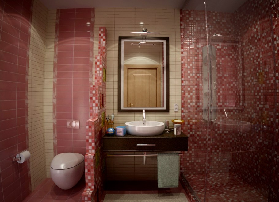 Душевая комната с туалетом