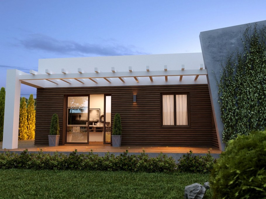 Barn House односкатный