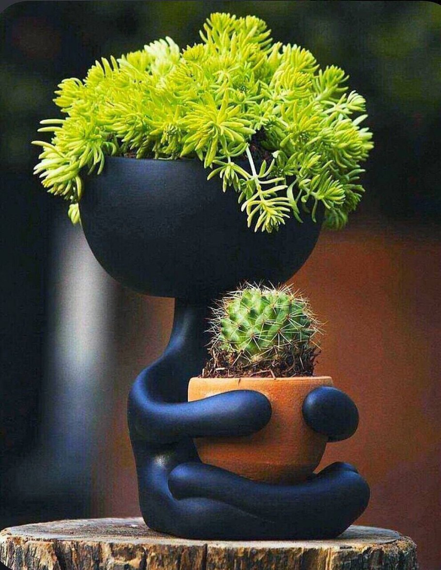 Необычные горшки для цветов