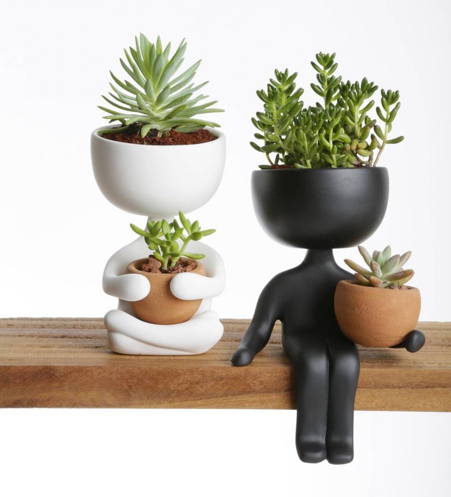 Растения в интерьере