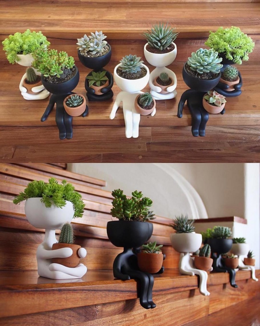 Цветок в креативном горшке