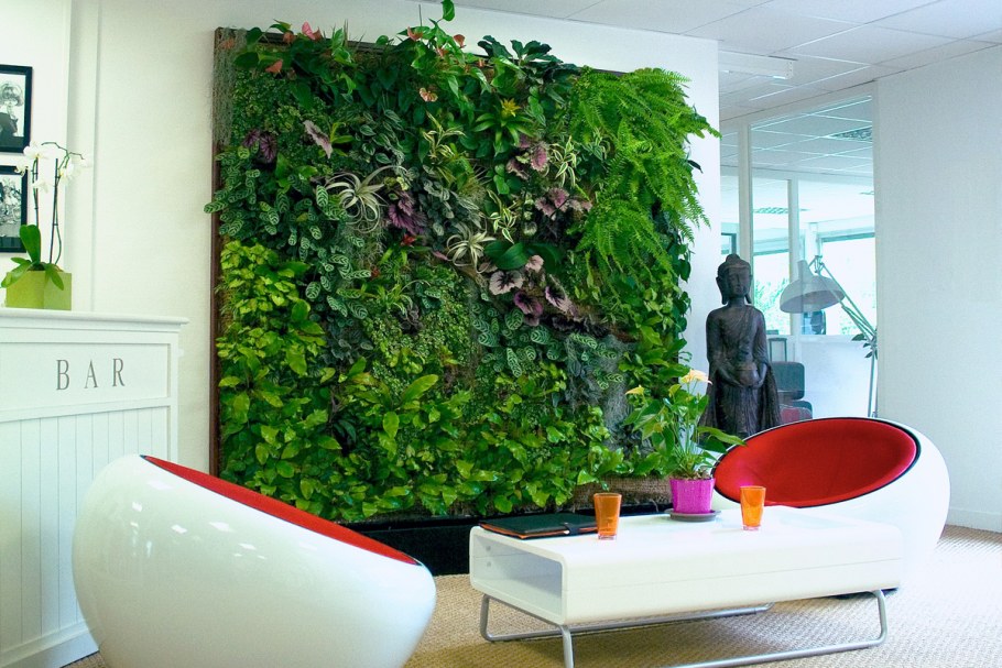 Комнатные растения в интерьере