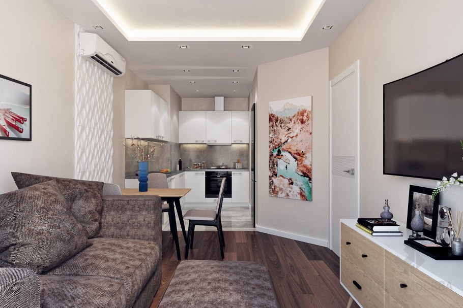 Кухня гостинная 18кв м пик