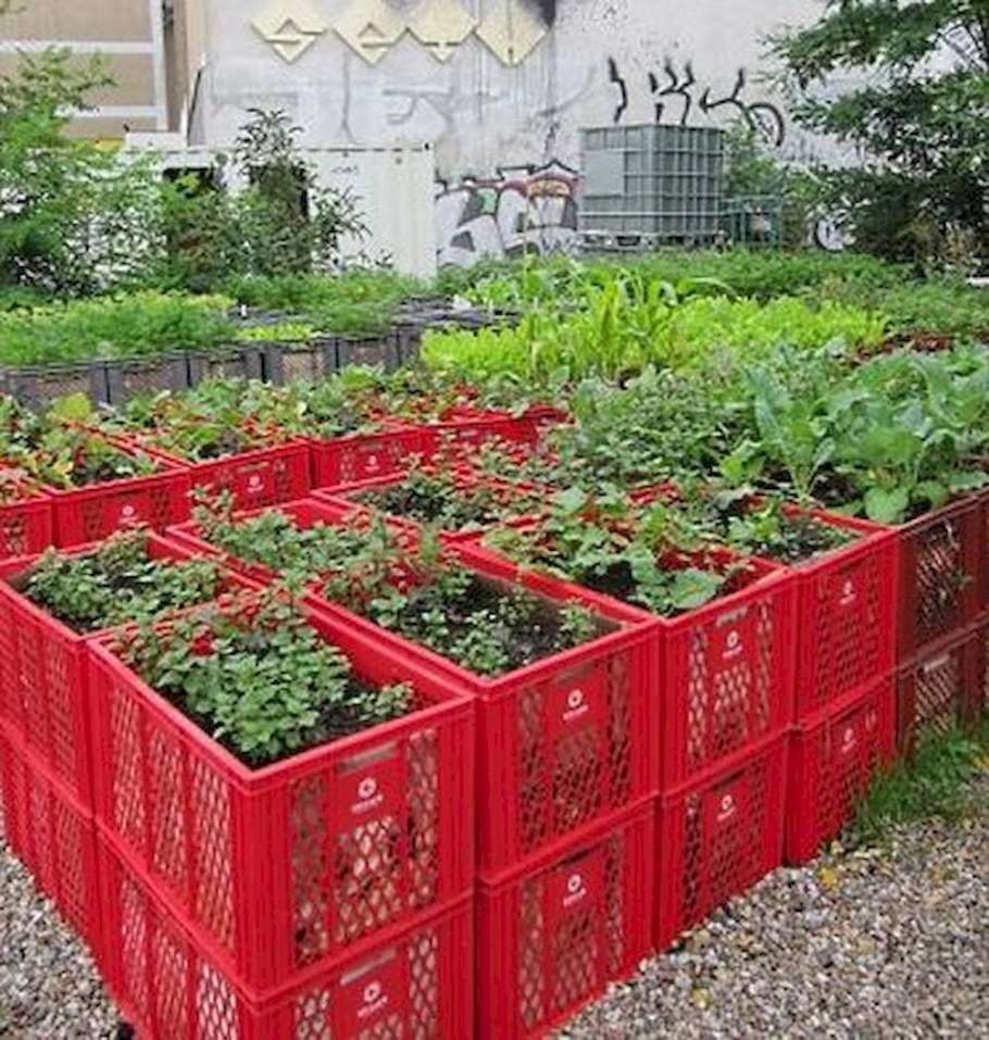 Изгородь стена