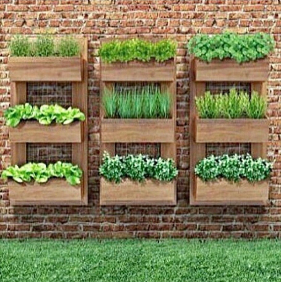 Вертикальный сад из пластиковых бутылок