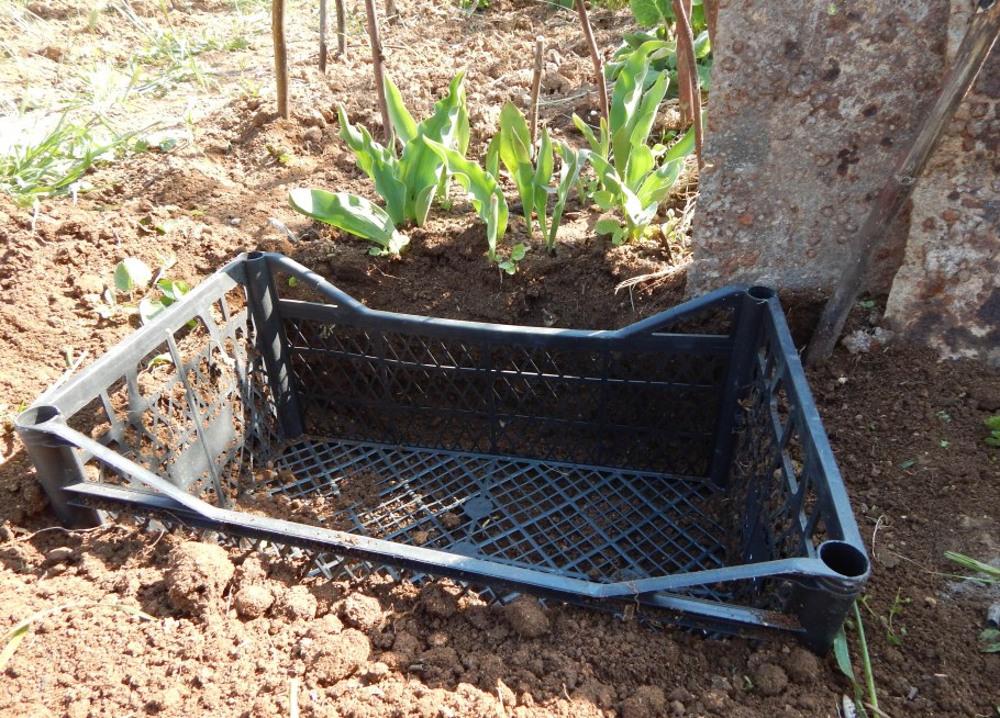 Забор из пластмассовых бутылок