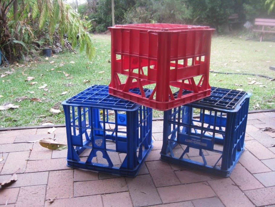 Фитостена изгородь