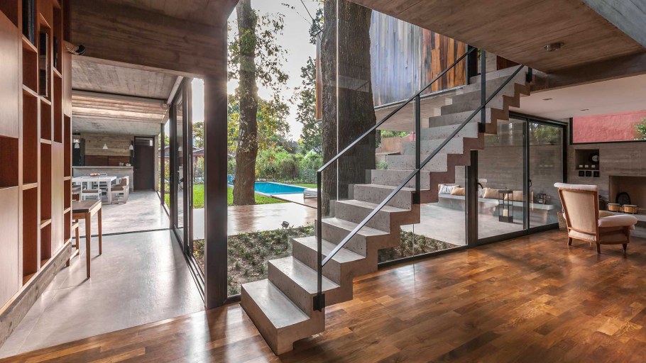 Дерево внутри здания