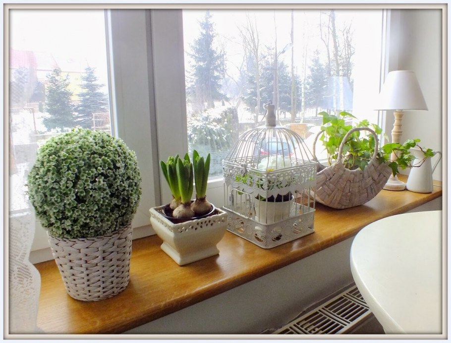 Подоконник с комнатными цветами
