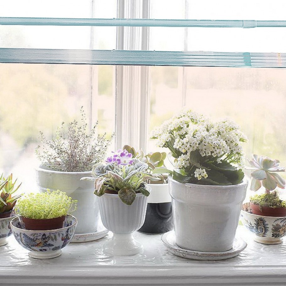 Декор подоконника на кухне