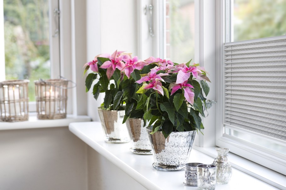 Декор подоконника