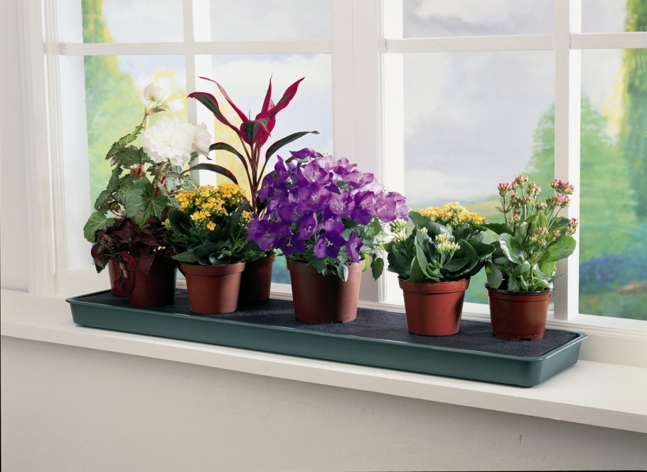 Подоконник с цветами