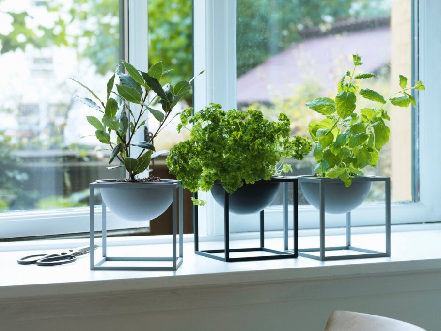 Цветы на застекленном балконе