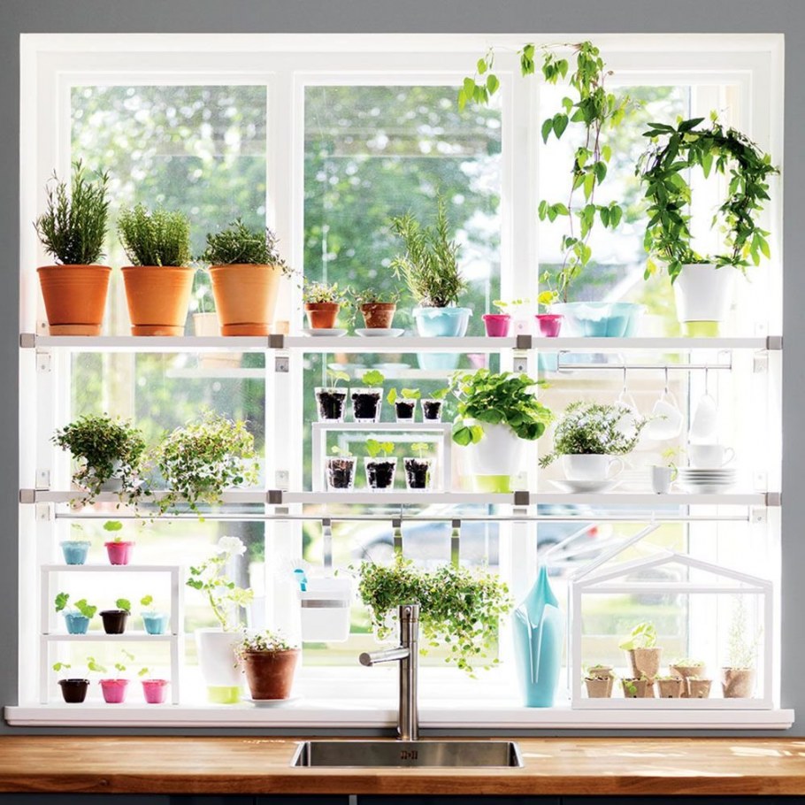 Комнатные растения в интерьере кухни