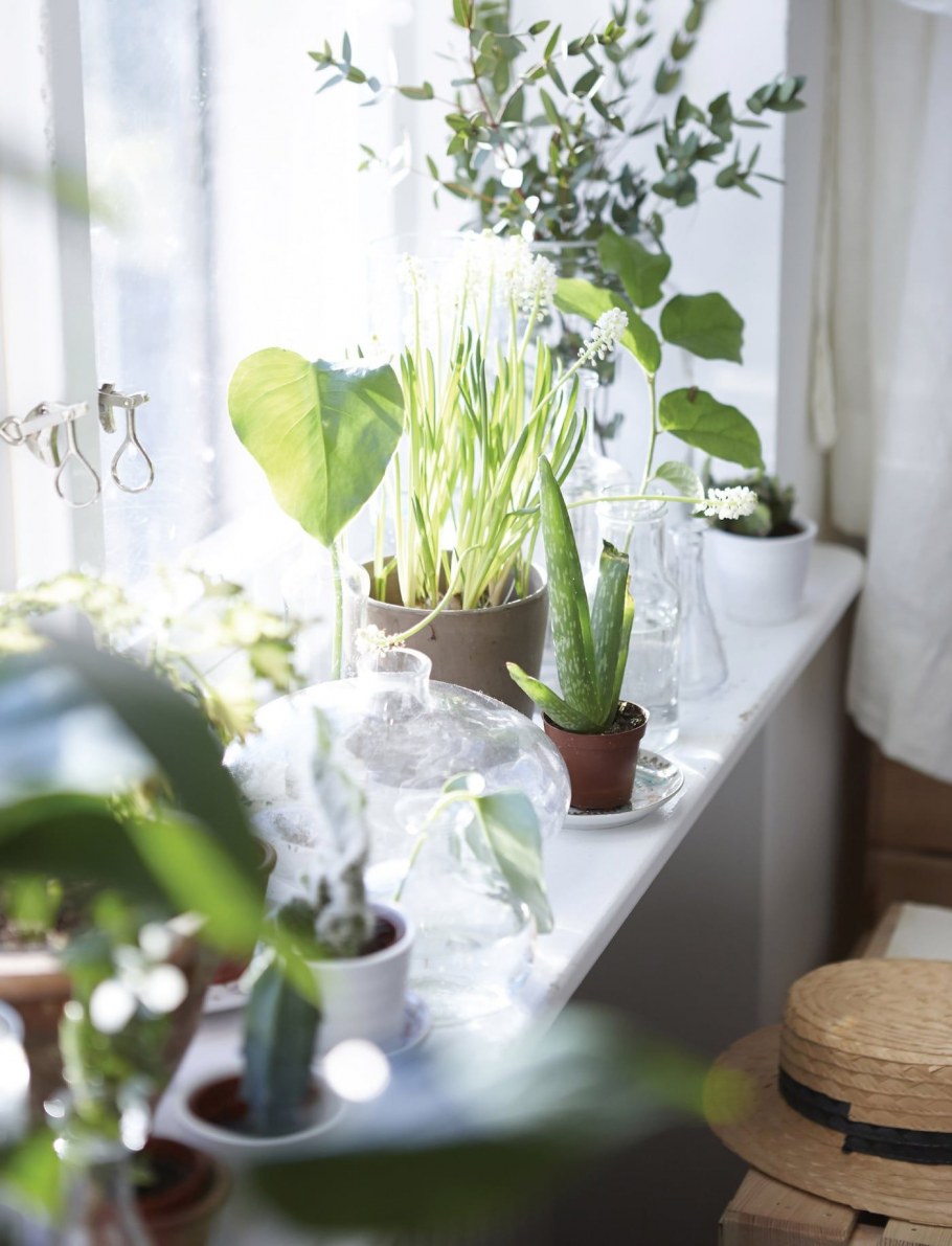 Мини зелень