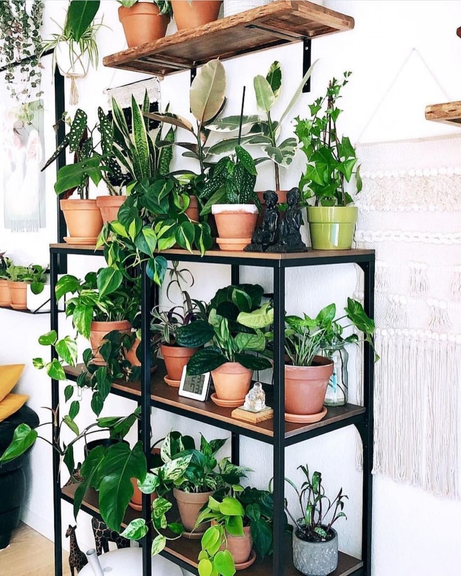 Икеевский стеллаж для цветов