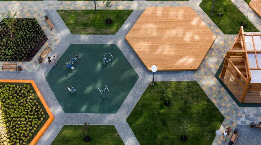 План озеленения парка