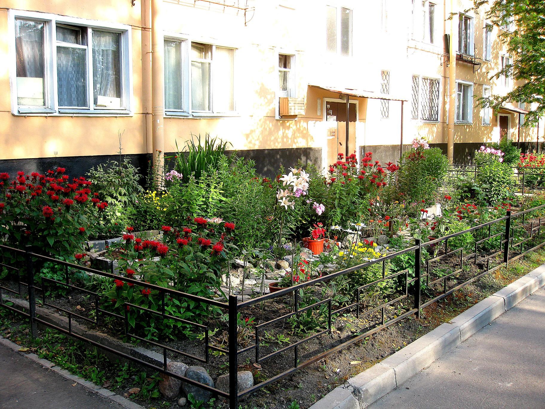 Клумба возле многоквартирного дома. Палисадник в Московском дворе. Палисадник у МКД. Красивая клумба у подъезда. Цветники во дворе многоквартирных домов.