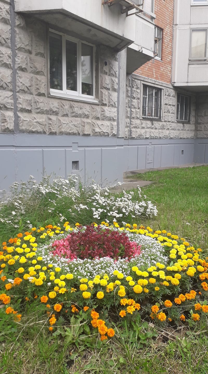 Палисадник перед подъездом