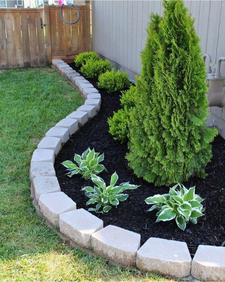 Туя Микки в рокарии