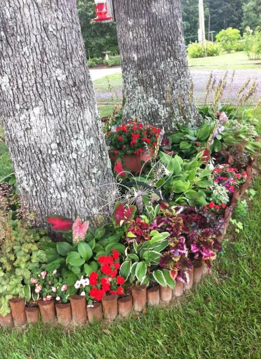 Цветник в приствольном круге