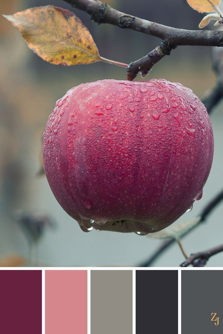 Сочетание цветов вишневый