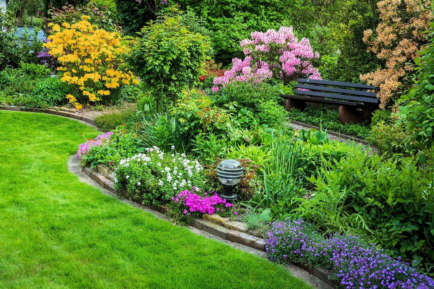 The gardener planted some. Цветы в саду. Ландшафт дачного участка. Цветы на садовом участке. Цветочный сад на участке.