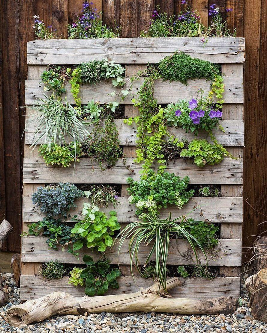 Вертикальные клумбы