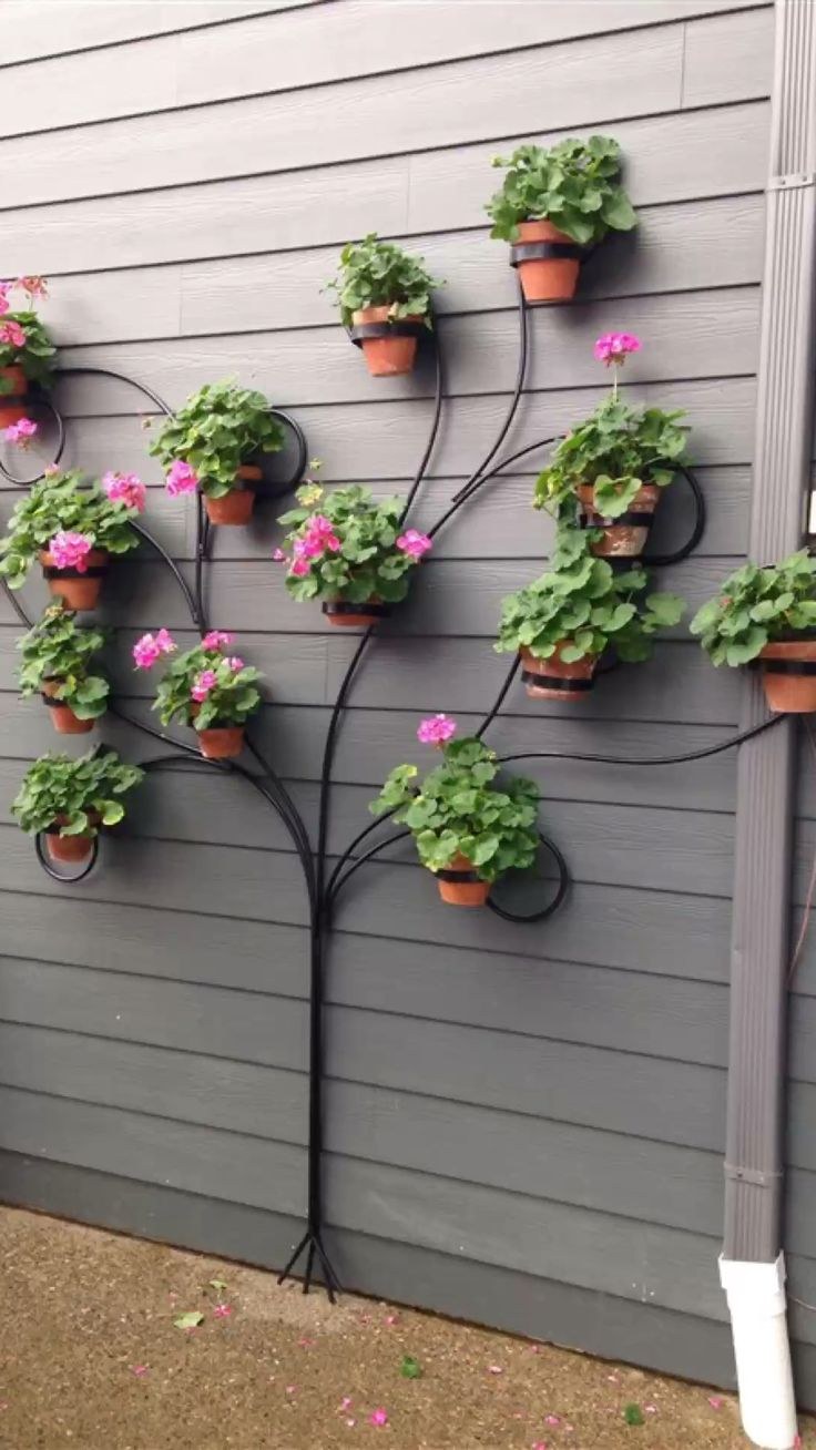 Рутарий туя