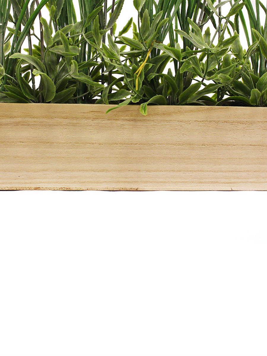 Цветы в прямоугольном горшке