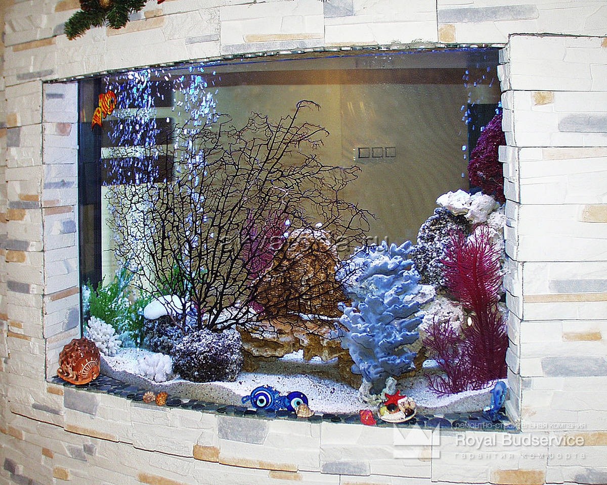 Сухой аквариум (75 фото) - красивые картинки и HD фото