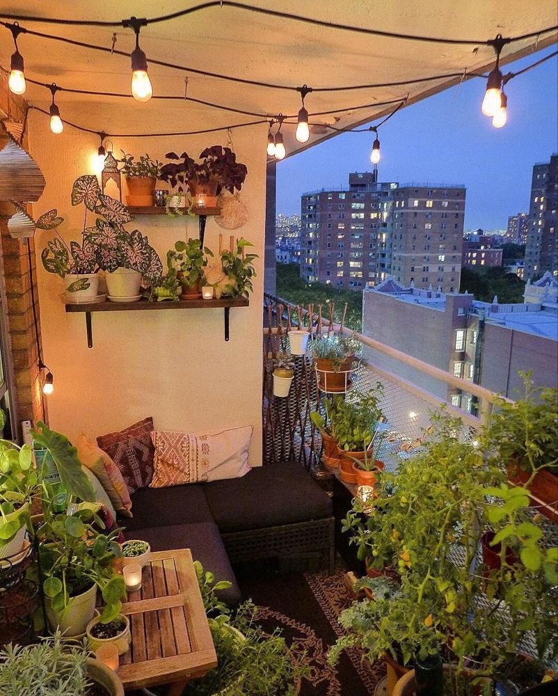 Цветочная оранжерея на балконе