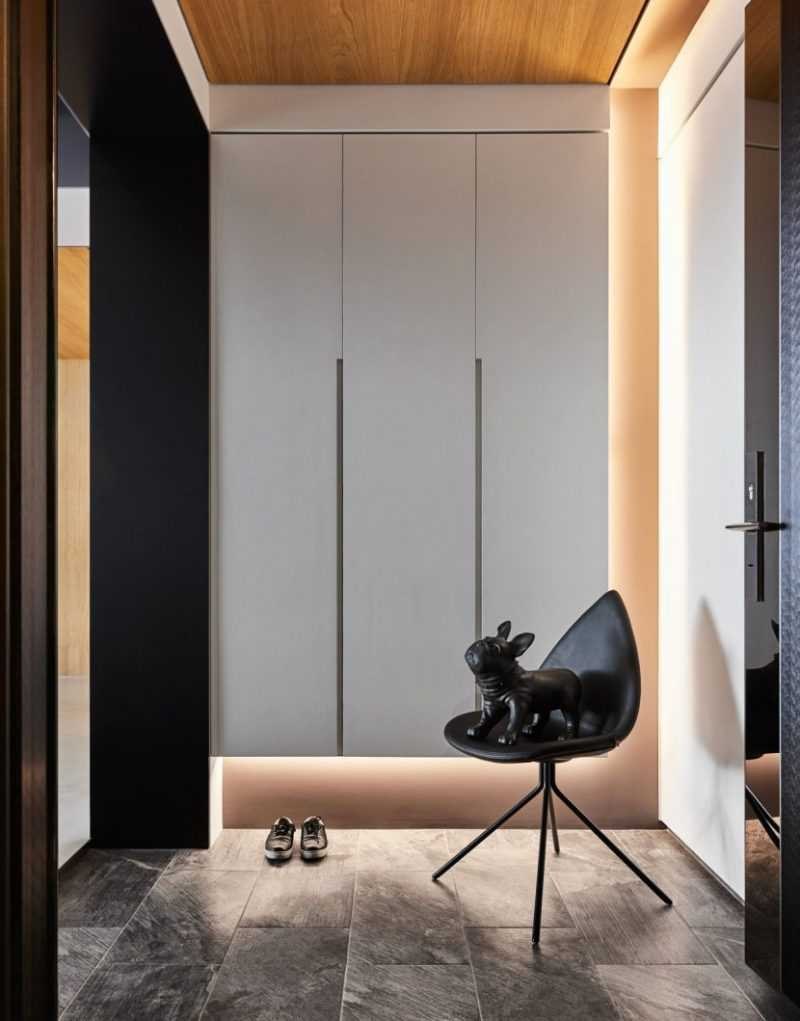 Стильный шкаф в прихожую с распашными дверями