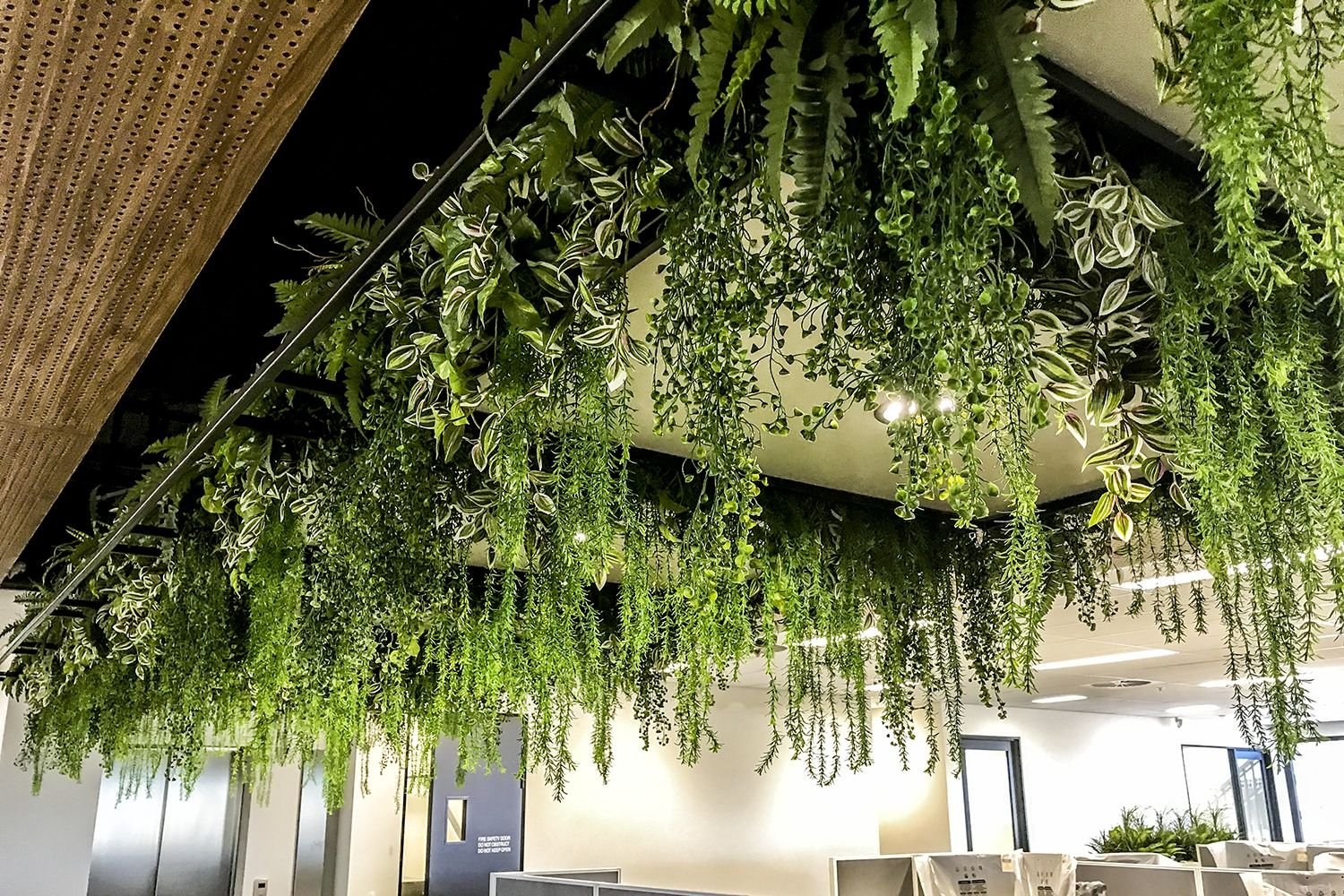 Искусственные растения на потолок