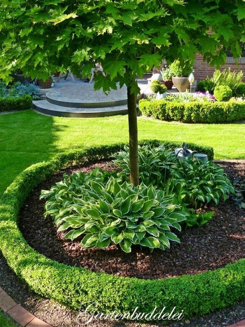 Мульча щепа приствольный круг