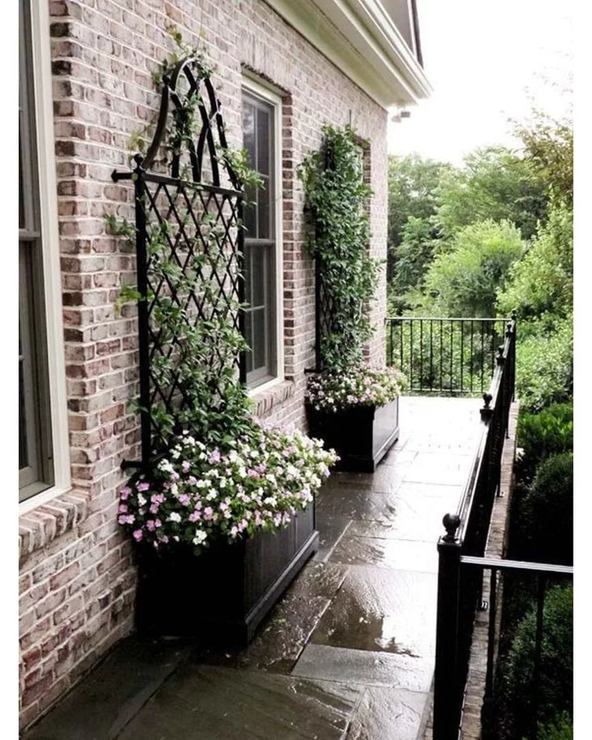 Палисадник Энфилд