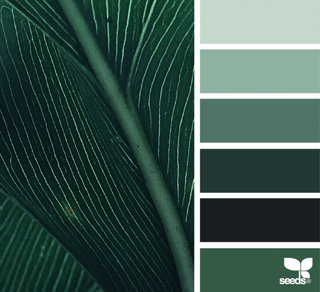 Раскладка зеленого. Seeds Color Palette изумрудный. Цветовая палитра темно зеленый. Благородные оттенки зеленого. Изумрудный цвет палитра.