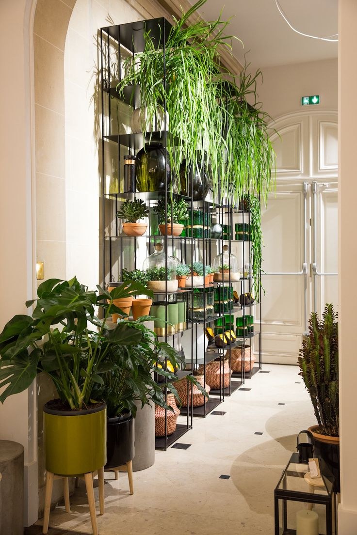 Цветы на подоконнике