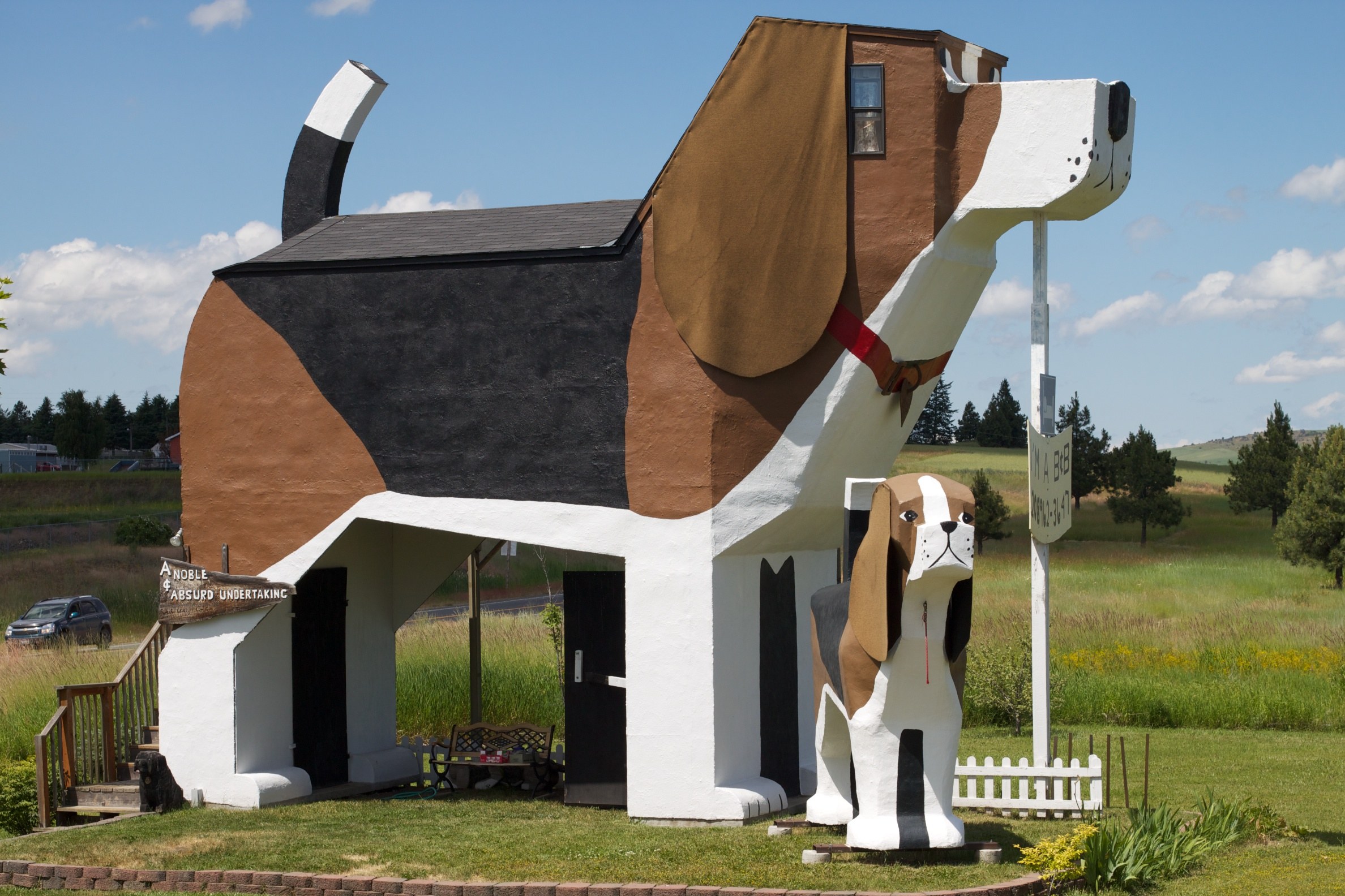 Собака в форме человека. Dog Bark Park Inn отель. Dog Bark Park Inn, Айдахо, США. Гостиница внутри собаки Dog Bark Park Inn. США Айдахо Коттонвуд.