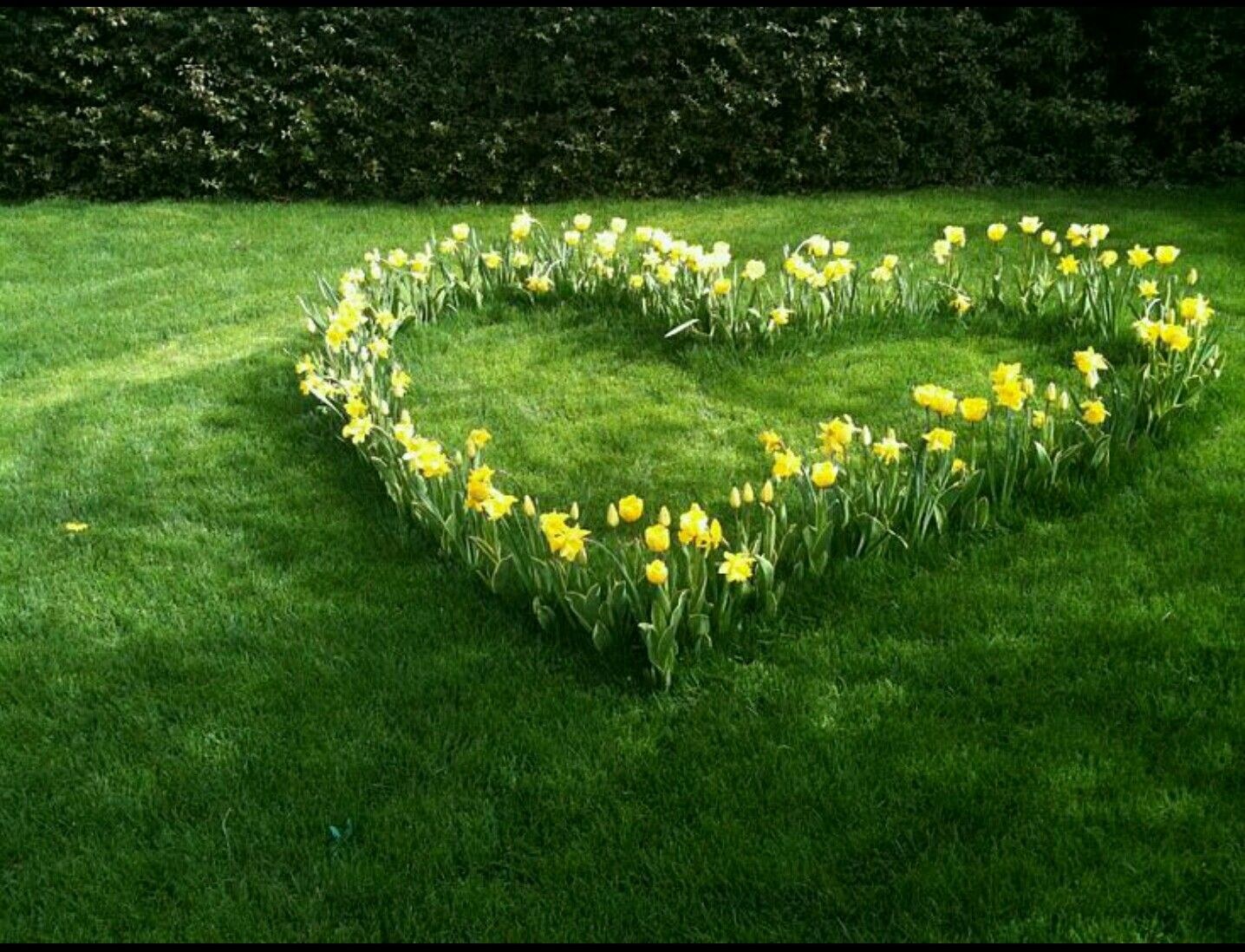 Сделать проще простого: удивительная клумба в форме сердца преобразит любой сад